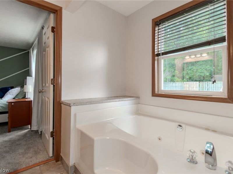 1230 Dartmouth Drive, Painesville Township, OH 44077 Photo 19