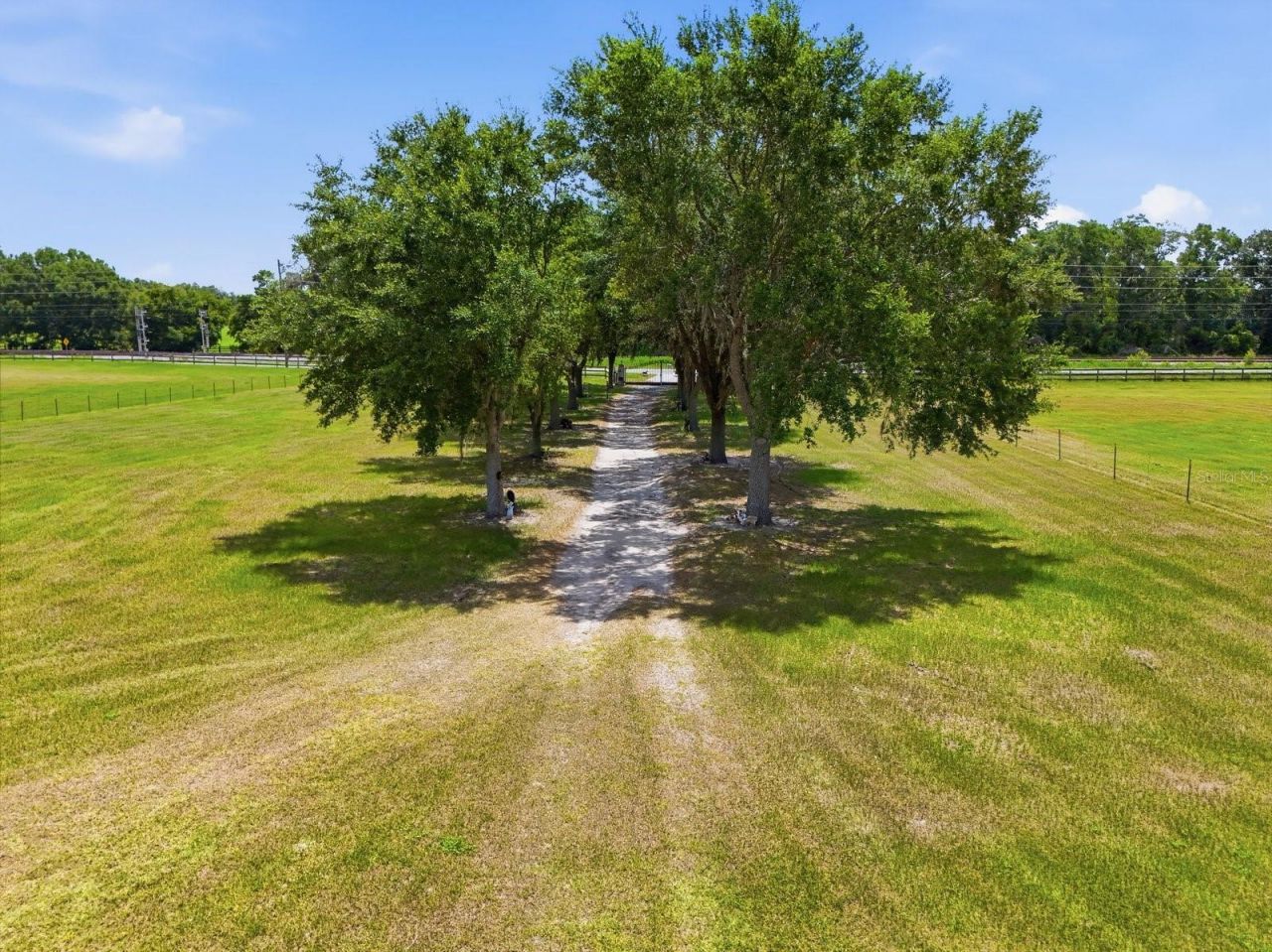 11748 NE Jacksonville Road, Anthony, FL 32617 Photo