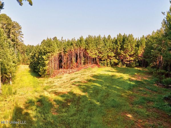 NW Ben Briggs Road, Roxie, MS 39661