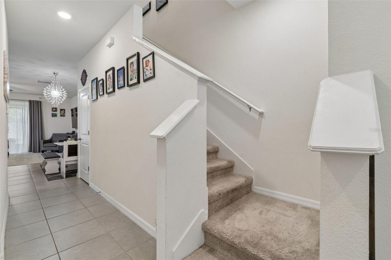 3830 Vignoble Lane, Brandon, FL 33511 Photo