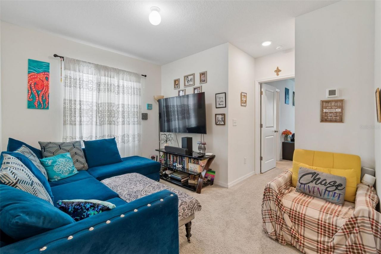 3830 Vignoble Lane, Brandon, FL 33511 Photo