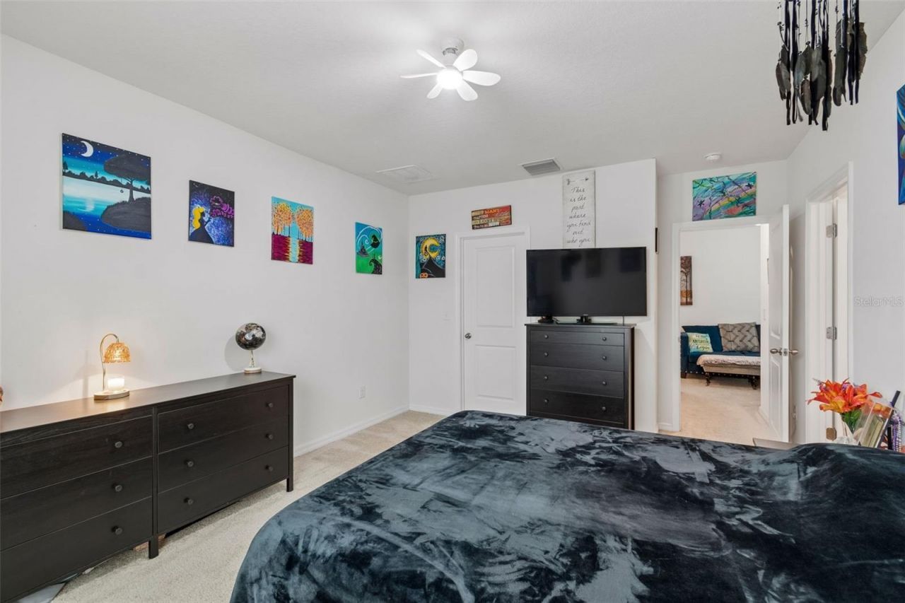 3830 Vignoble Lane, Brandon, FL 33511 Photo