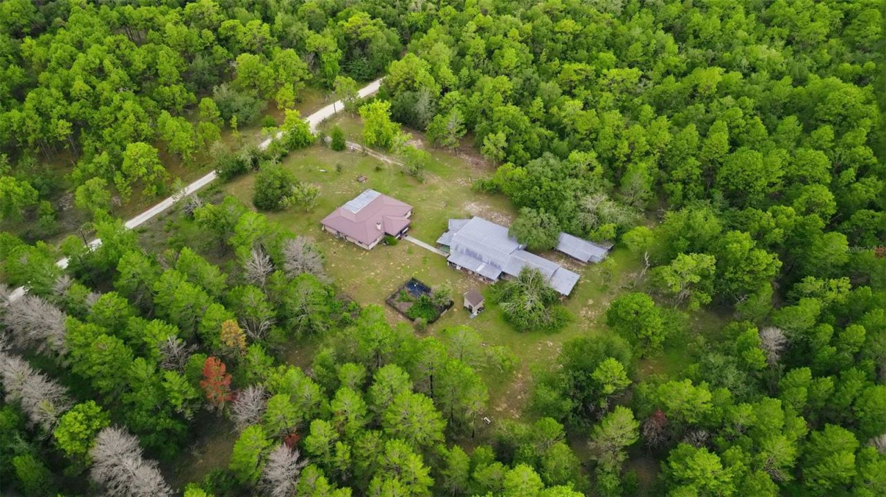 14499 Sandy Drive, Brooksville, FL 34613 Photo