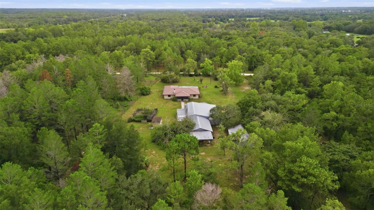 14499 Sandy Drive, Brooksville, FL 34613 Photo