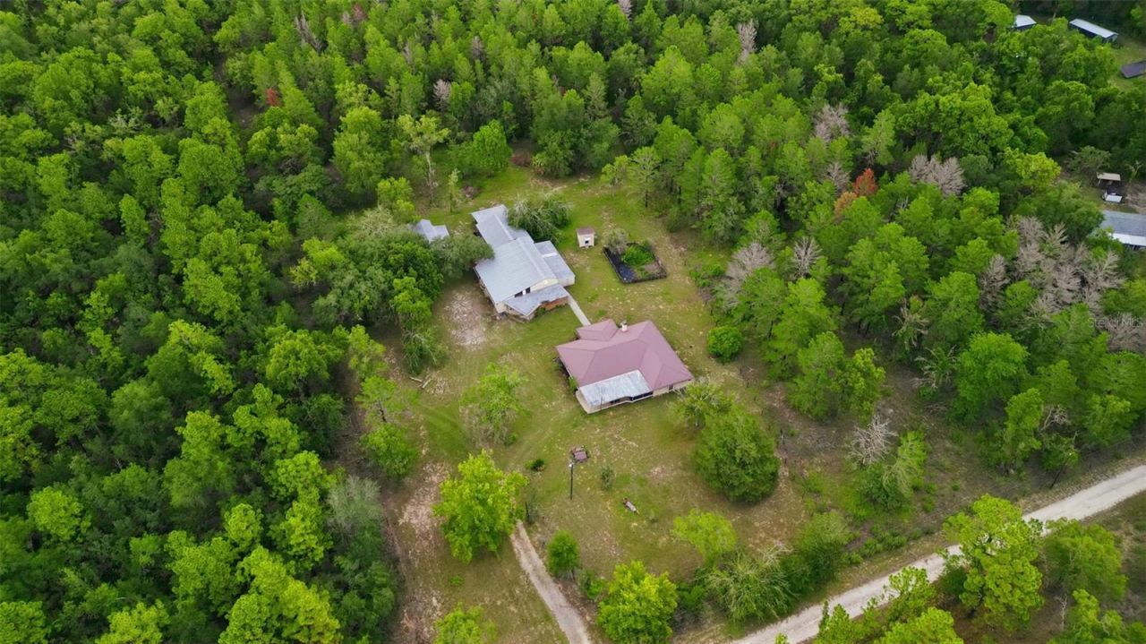 14499 Sandy Drive, Brooksville, FL 34613 Photo