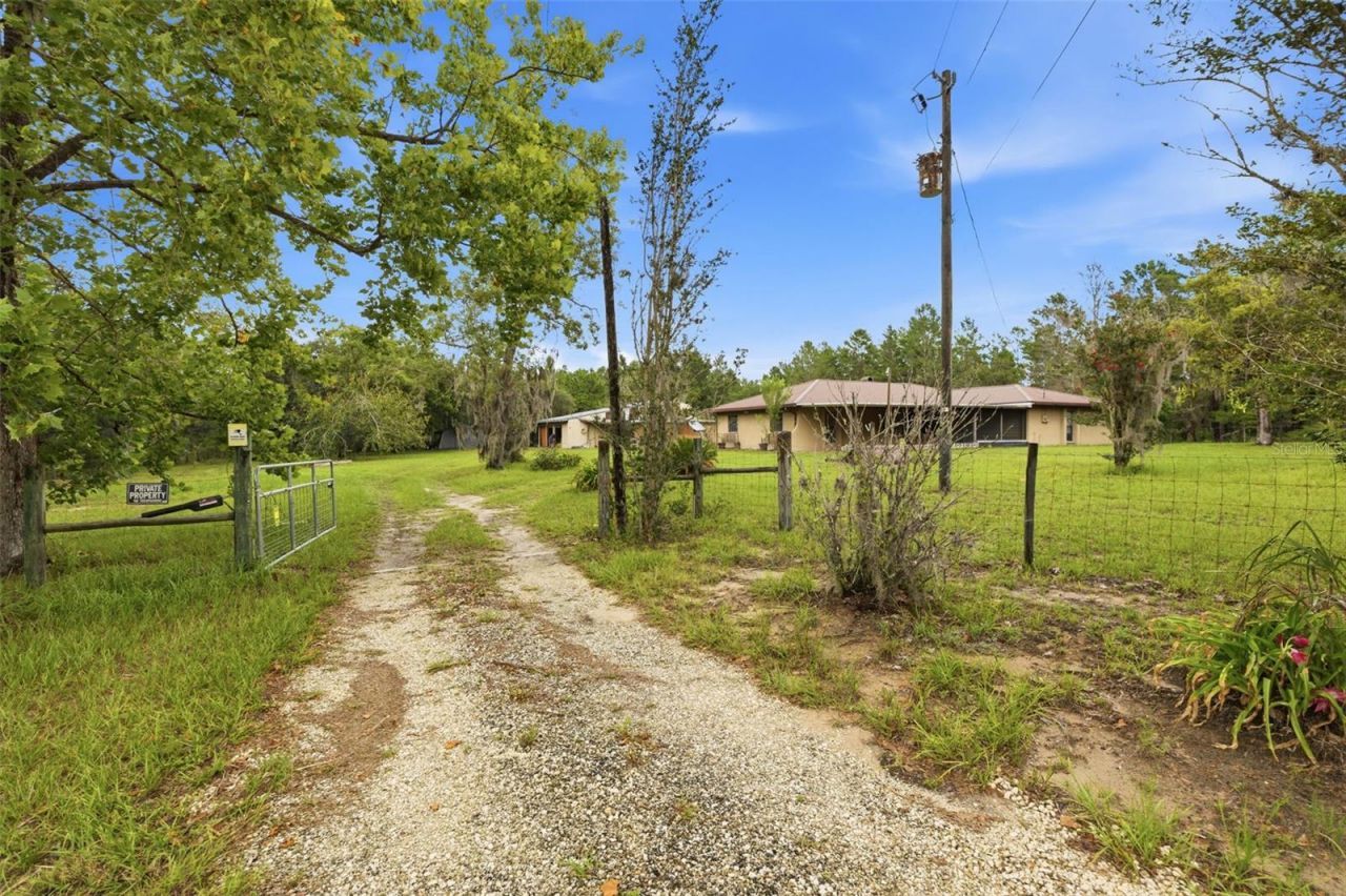 14499 Sandy Drive, Brooksville, FL 34613 Photo