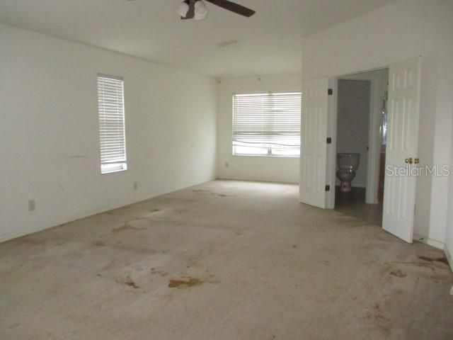 20123 Still Wind Drive, Tampa, FL 33647 Photo