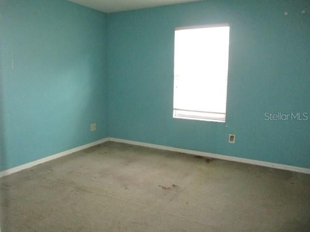 20123 Still Wind Drive, Tampa, FL 33647 Photo