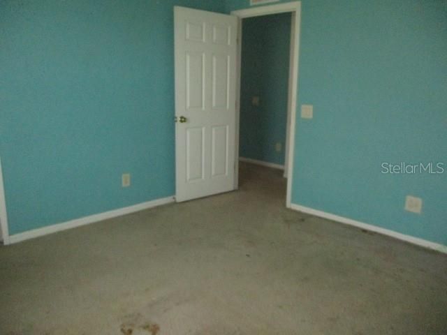 20123 Still Wind Drive, Tampa, FL 33647 Photo
