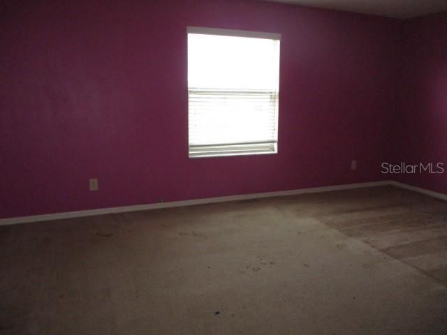 20123 Still Wind Drive, Tampa, FL 33647 Photo