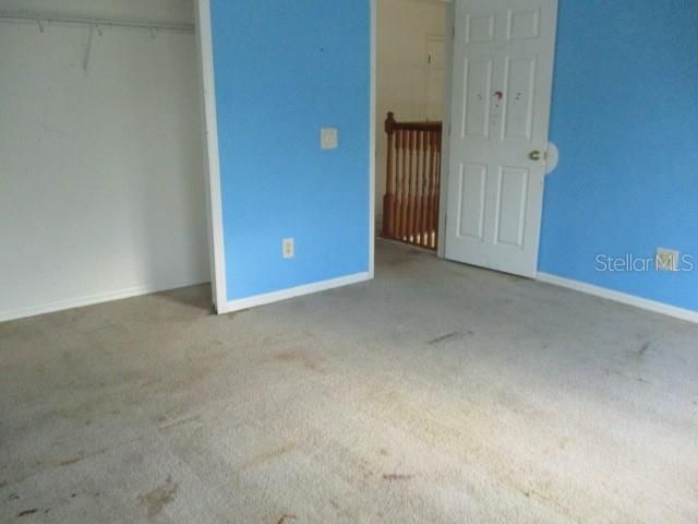 20123 Still Wind Drive, Tampa, FL 33647 Photo