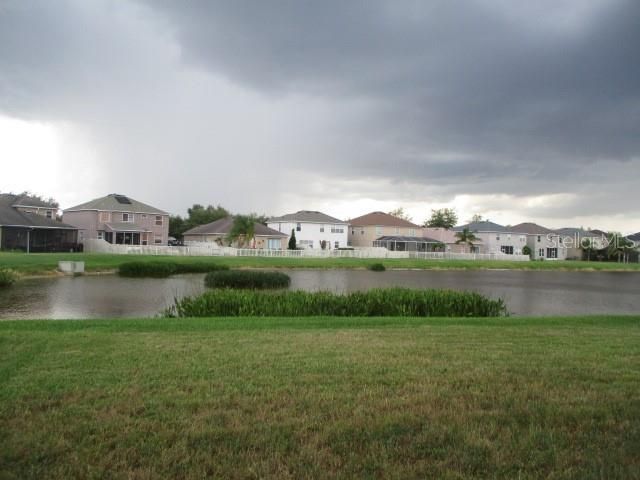 20123 Still Wind Drive, Tampa, FL 33647 Photo