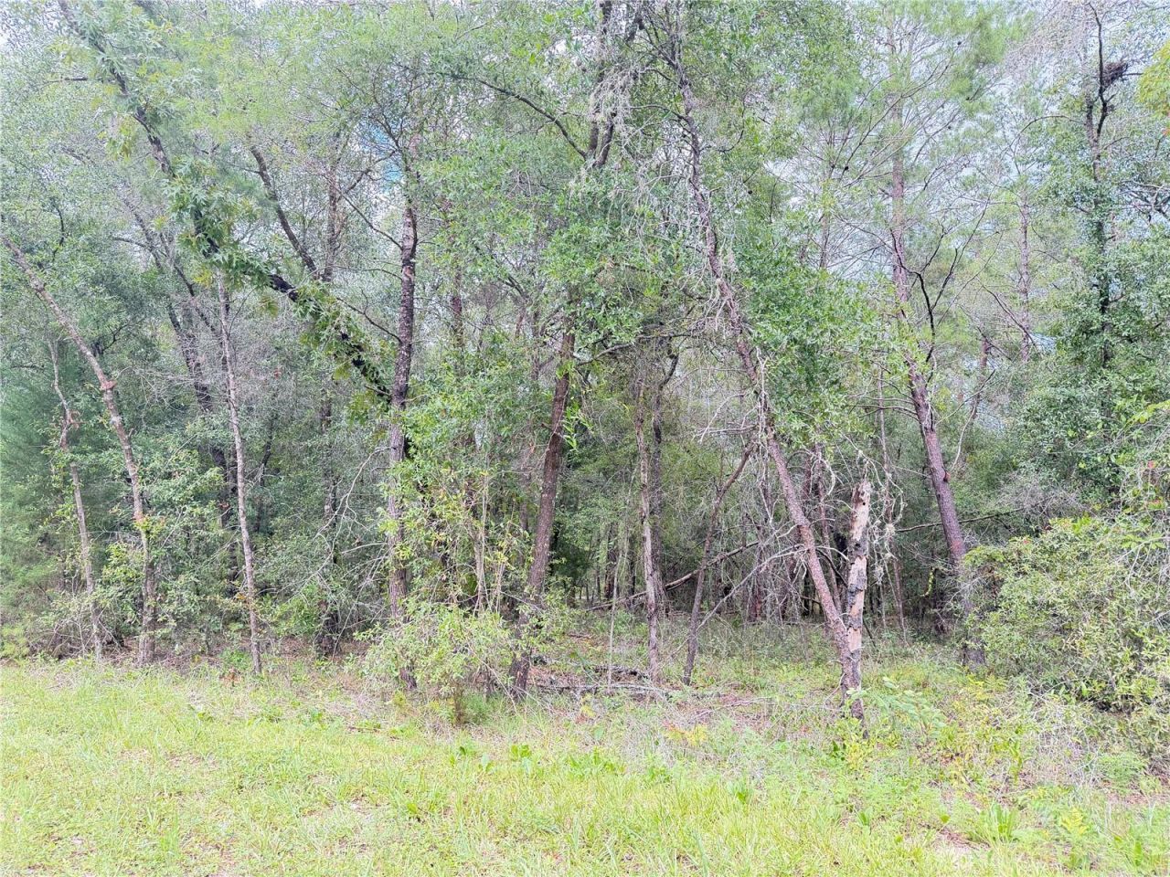100 Linda Lane, Interlachen, FL 32148 Photo