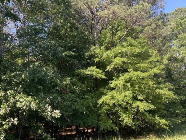 4410 Columbia Rd 36 Road, Magnolia, AR 71753