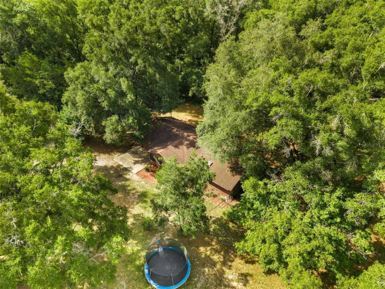79 NW 55th Avenue , Bell, FL 32619 Photo
