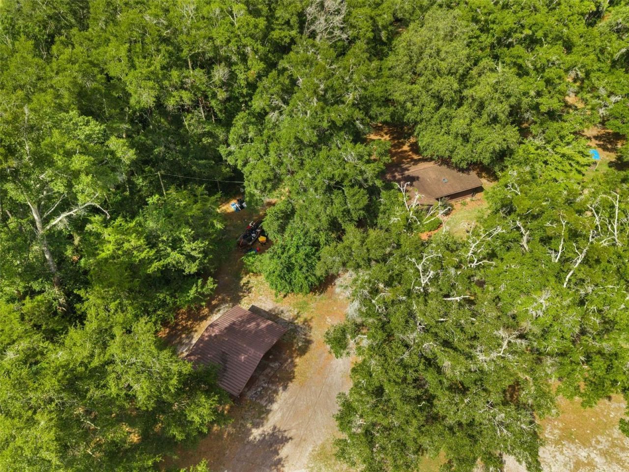 79 NW 55th Avenue , Bell, FL 32619 Photo