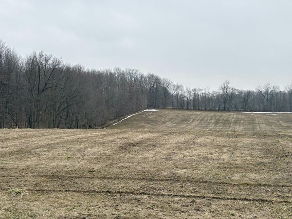 210 W Wagner Road, Buchanan, MI 49107