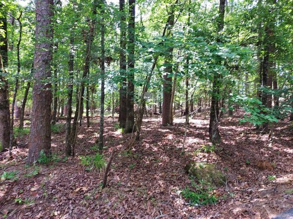 8 Villano Lane , Hot Springs Village, AR 71909
