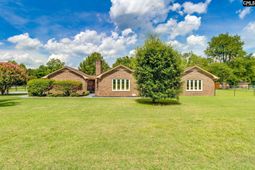 3315 Lee Altman Drive  photo 4