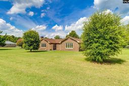 3315 Lee Altman Drive  photo 4