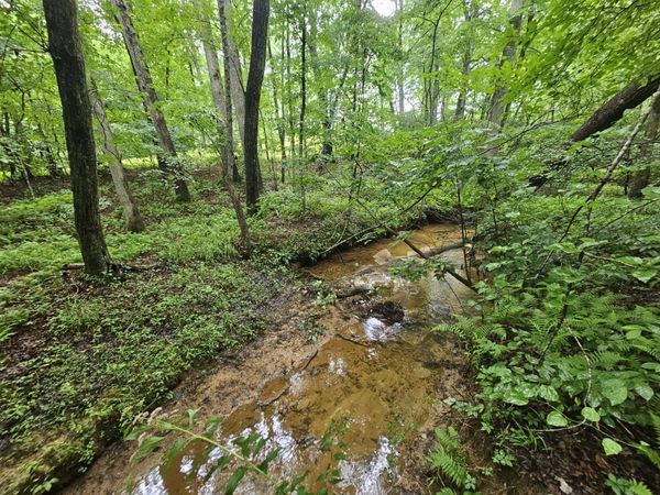2411 SR 56 , Unit 2, Tracy City, TN 37387