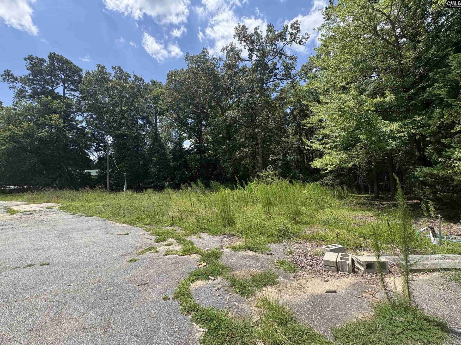417b Chapin Road Photo 4