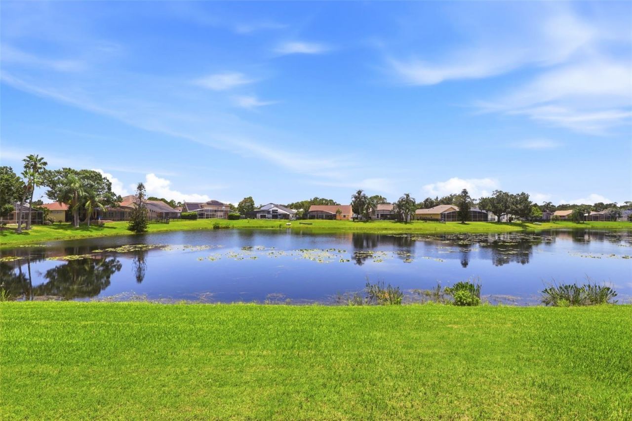 13494 Falcon Pointe Drive, Orlando, FL 32837 Photo