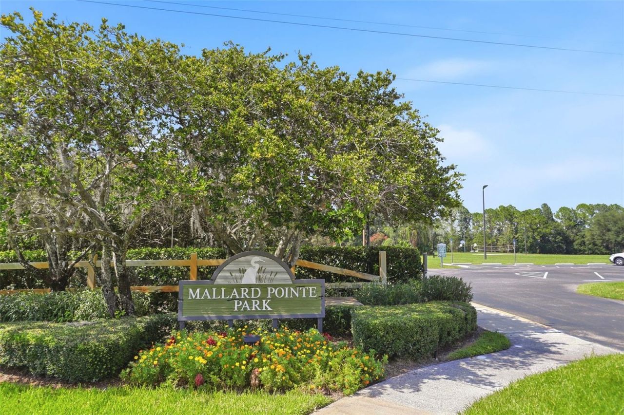 13494 Falcon Pointe Drive, Orlando, FL 32837 Photo
