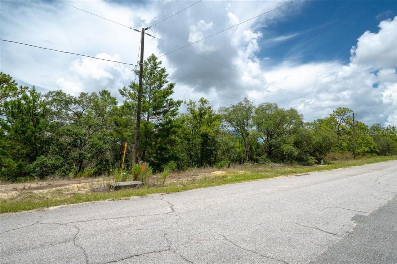 6830 N Sandborn Loop , Citrus Springs, FL 34433 Photo