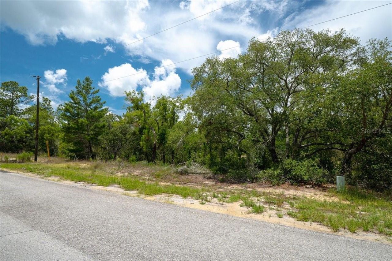 6830 N Sandborn Loop , Citrus Springs, FL 34433 Photo