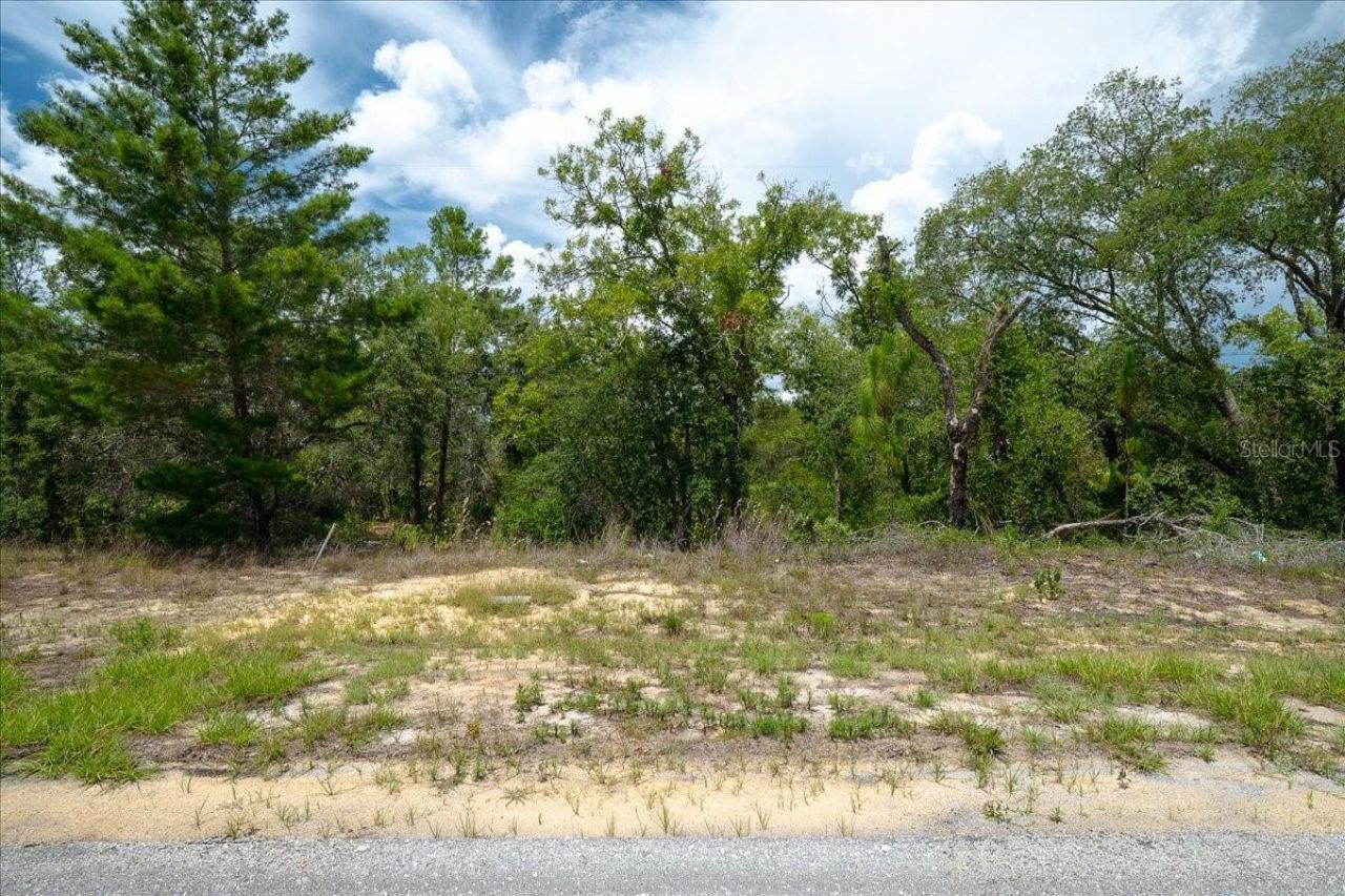 6830 N Sandborn Loop , Citrus Springs, FL 34433 Photo