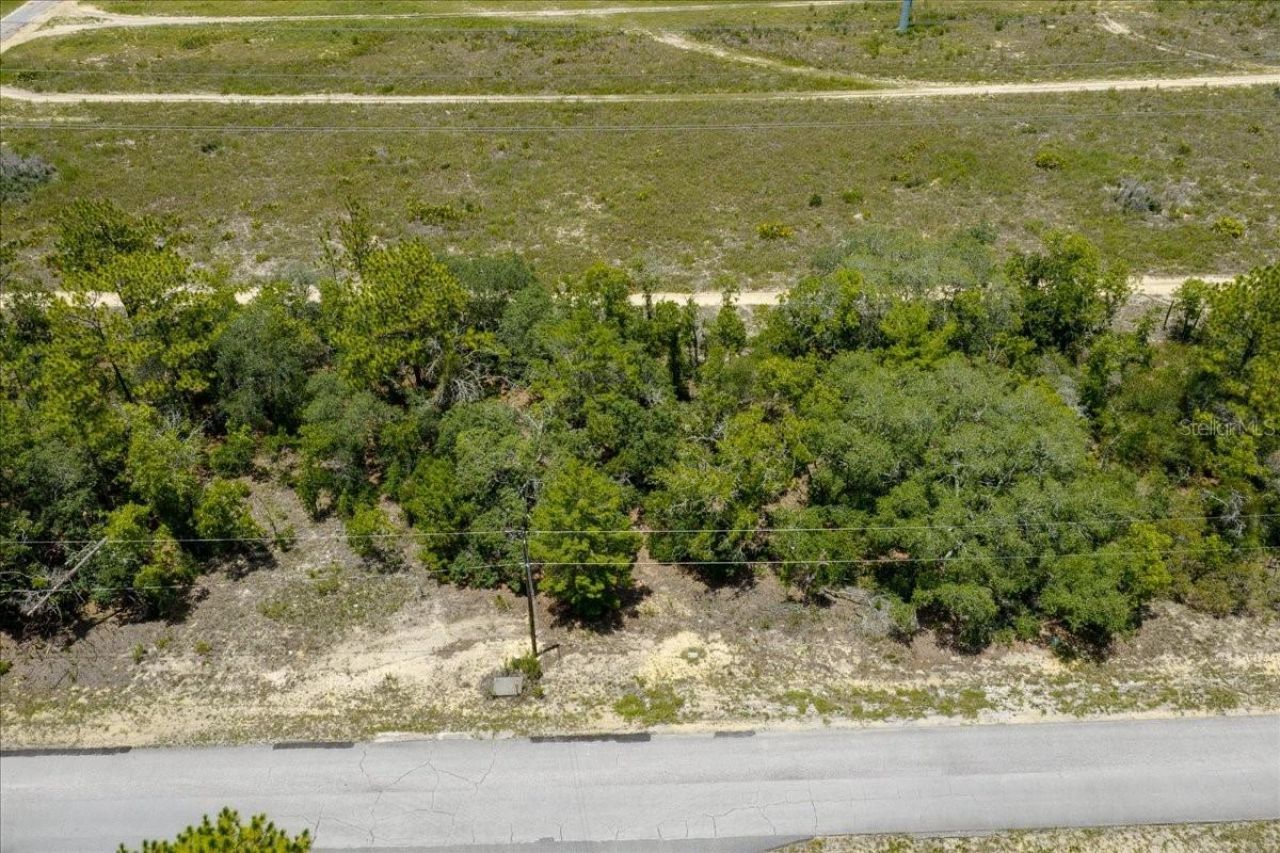 6830 N Sandborn Loop , Citrus Springs, FL 34433 Photo