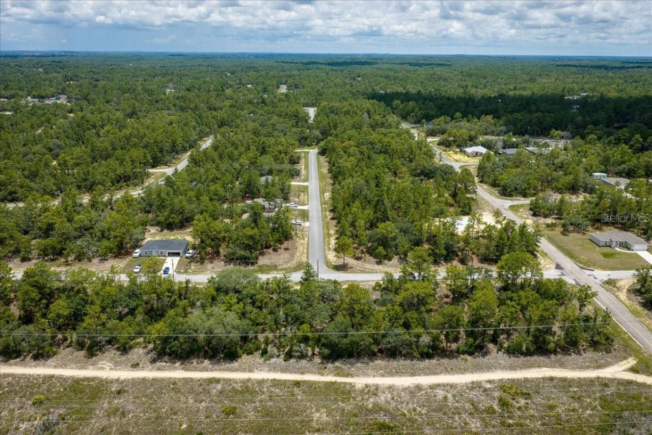 6830 N Sandborn Loop , Citrus Springs, FL 34433 Photo