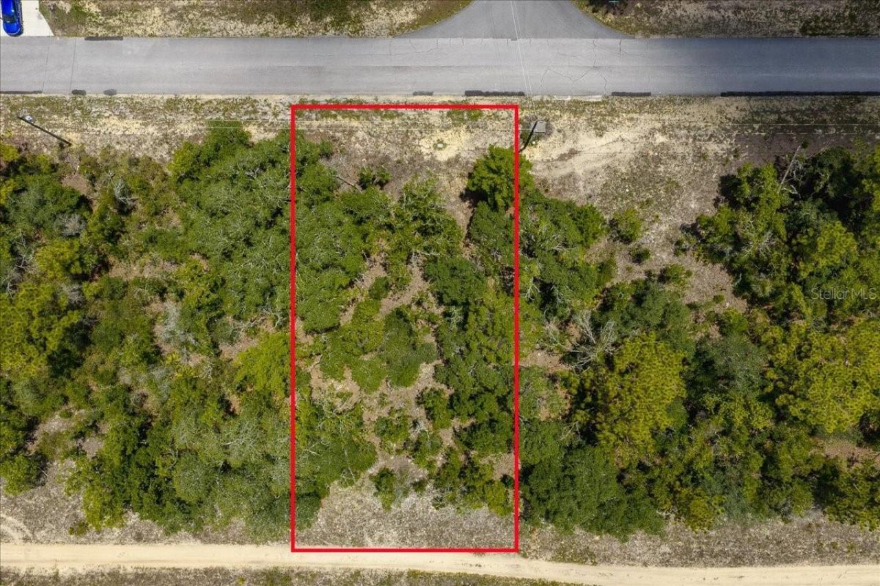 6830 N Sandborn Loop , Citrus Springs, FL 34433 Photo