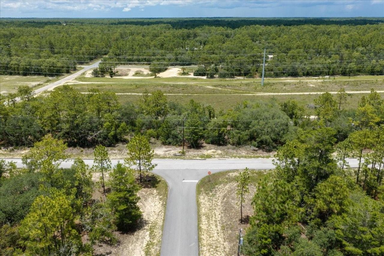 6830 N Sandborn Loop , Citrus Springs, FL 34433 Photo
