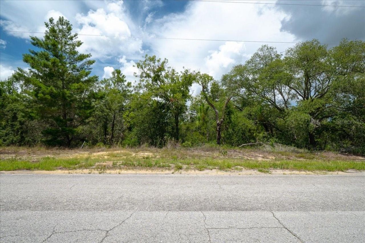 6830 N Sandborn Loop , Citrus Springs, FL 34433 Photo