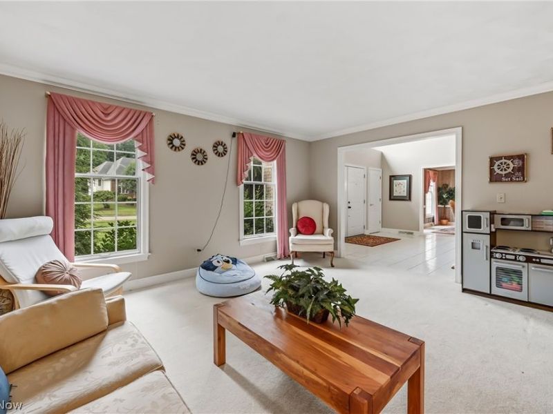 300 Russo Drive, Canfield, OH 44406 Photo 10