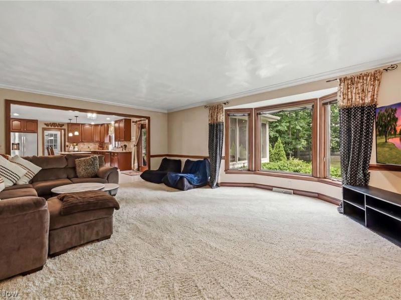 300 Russo Drive, Canfield, OH 44406 Photo 19