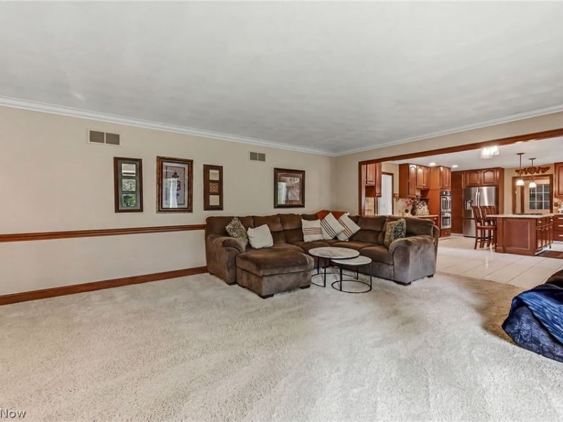 300 Russo Drive, Canfield, OH 44406 Photo 20