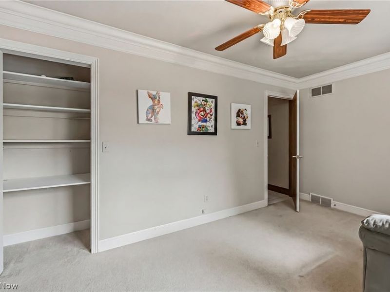 300 Russo Drive, Canfield, OH 44406 Photo 23