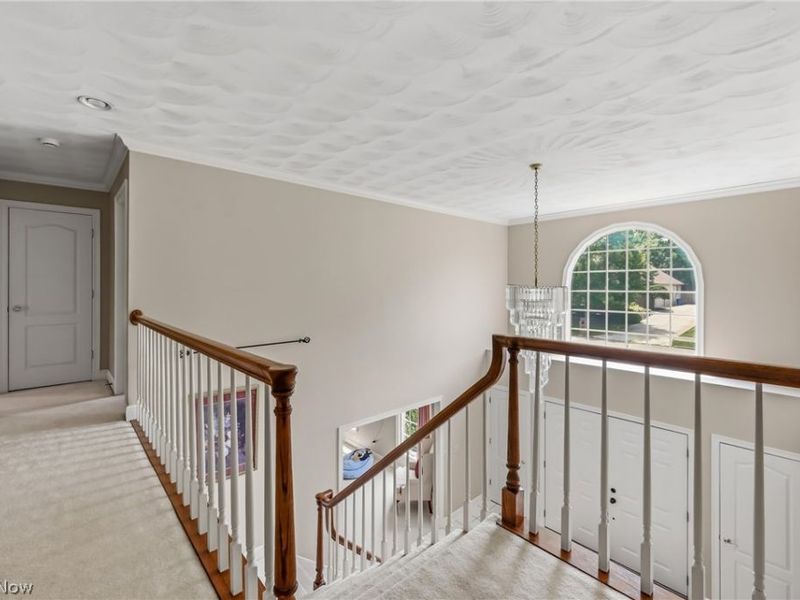 300 Russo Drive, Canfield, OH 44406 Photo 25