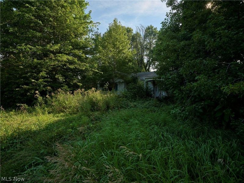4748 Stark Patent Road SW, Newcomerstown, OH 43832 Photo 21
