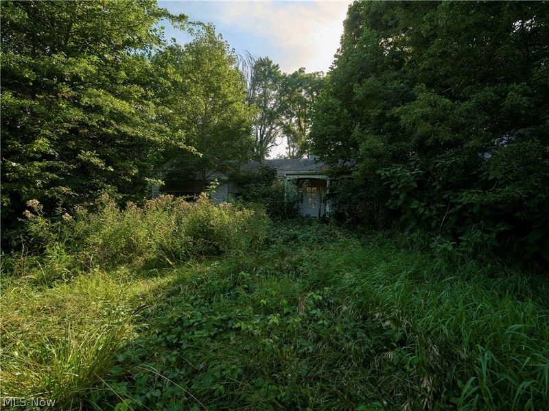 4748 Stark Patent Road SW, Newcomerstown, OH 43832 Photo 22