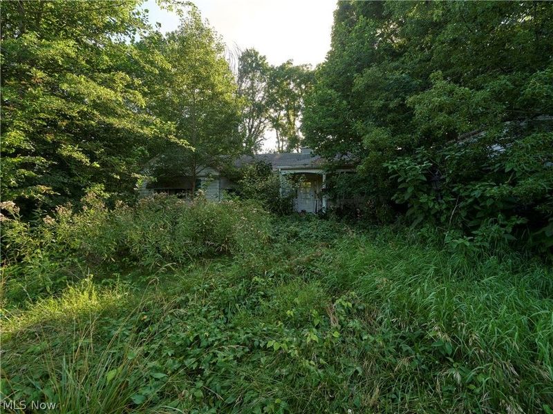 4748 Stark Patent Road SW, Newcomerstown, OH 43832 Photo 23