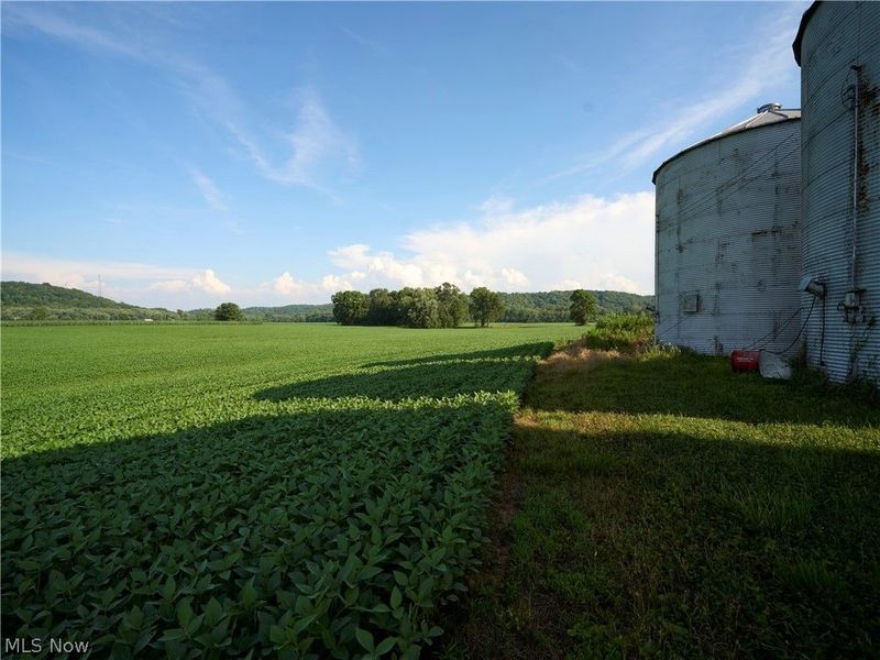 4748 Stark Patent Road SW, Newcomerstown, OH 43832 Photo 31