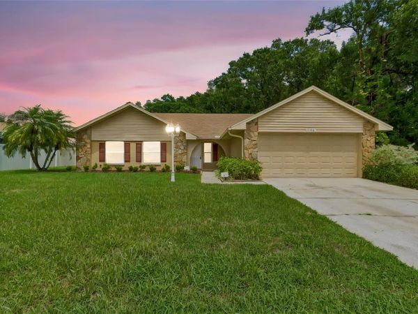 15109 SPRINGVIEW STREET , TAMPA, FL 33624