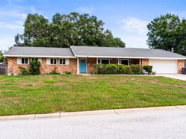 710 DEBRA LYNNE DRIVE , BRANDON, FL 33511