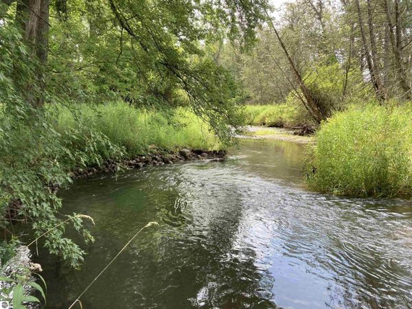 Beechwood Road, Rose City, MI 48654