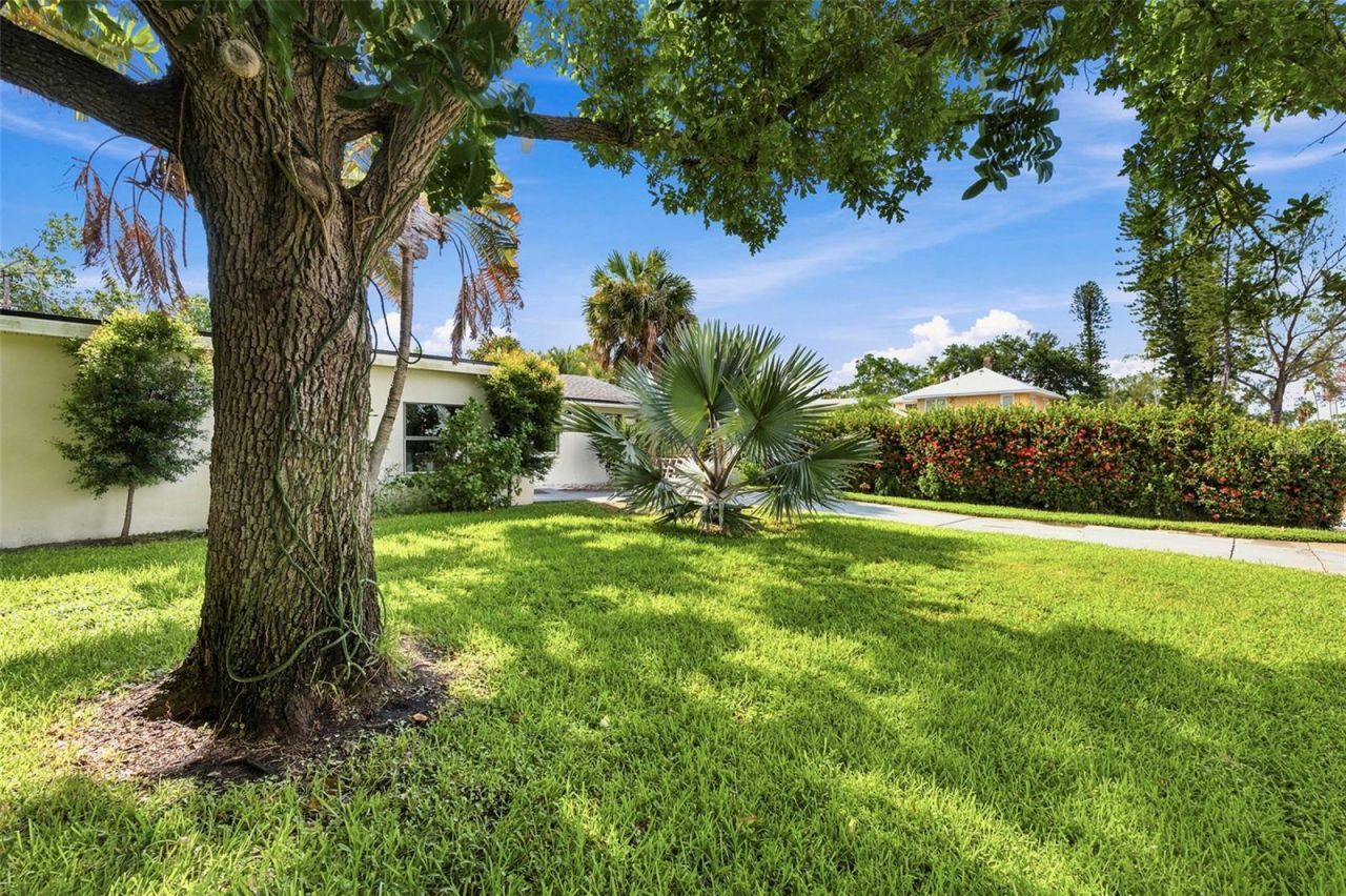 3947 Huntington Street Ne, Saint Petersburg, FL 33703 Photo