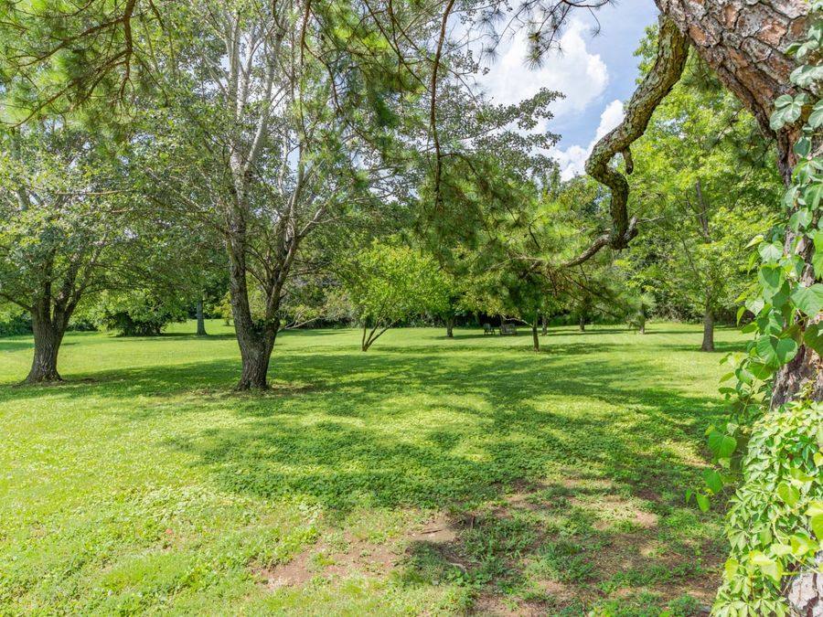 Property Image 54